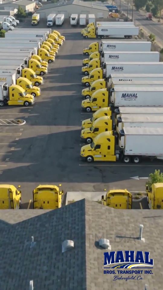 Fleet showcase: The whole fleet from the air